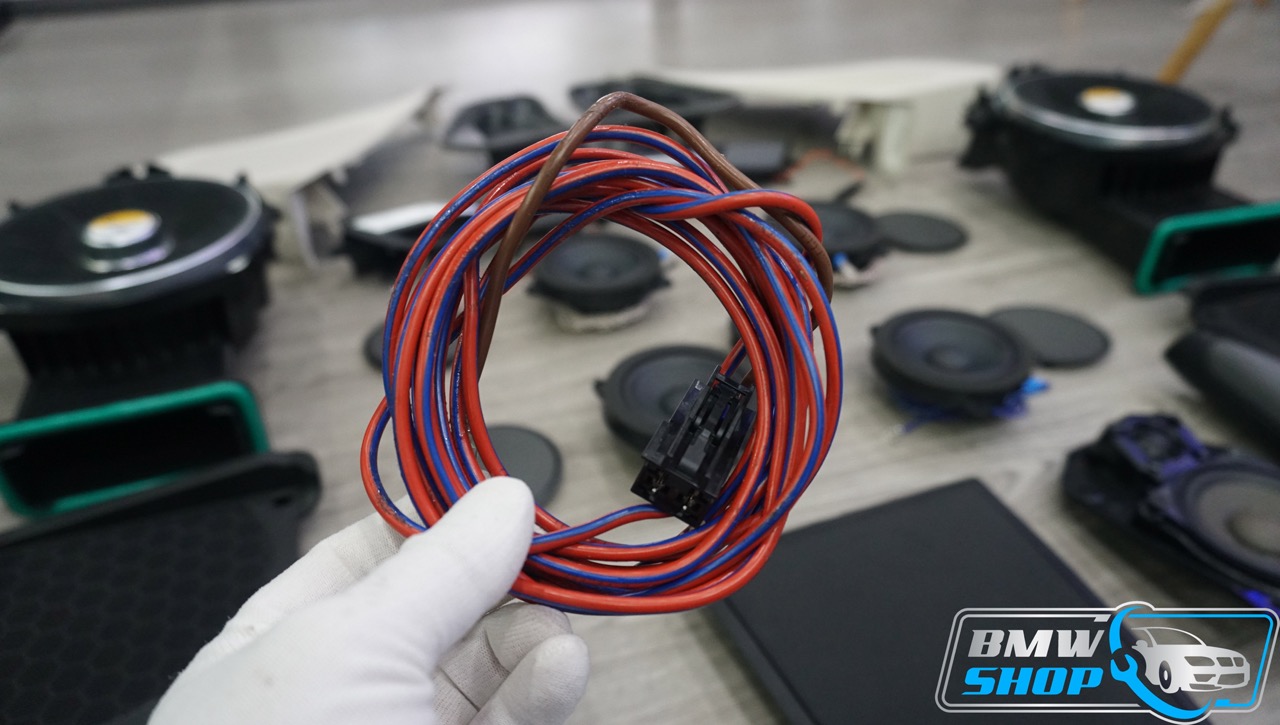 Loa Harman Kardon BMW X3 G01