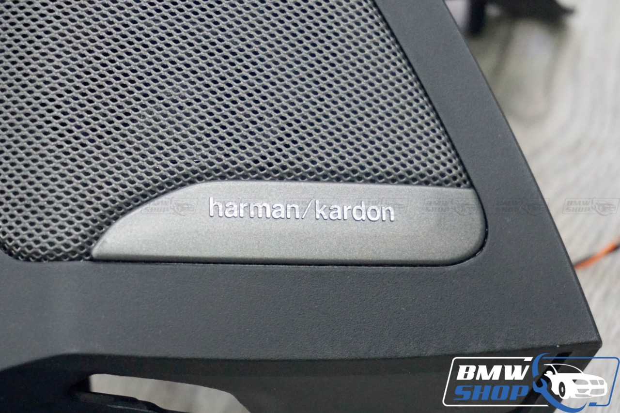 Loa Harman Kardon BMW X5 G05